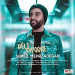 Soheil Mehrzadegan Dele Divooneh